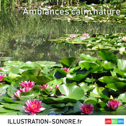 Ambiances calm nature Categorie NATURE